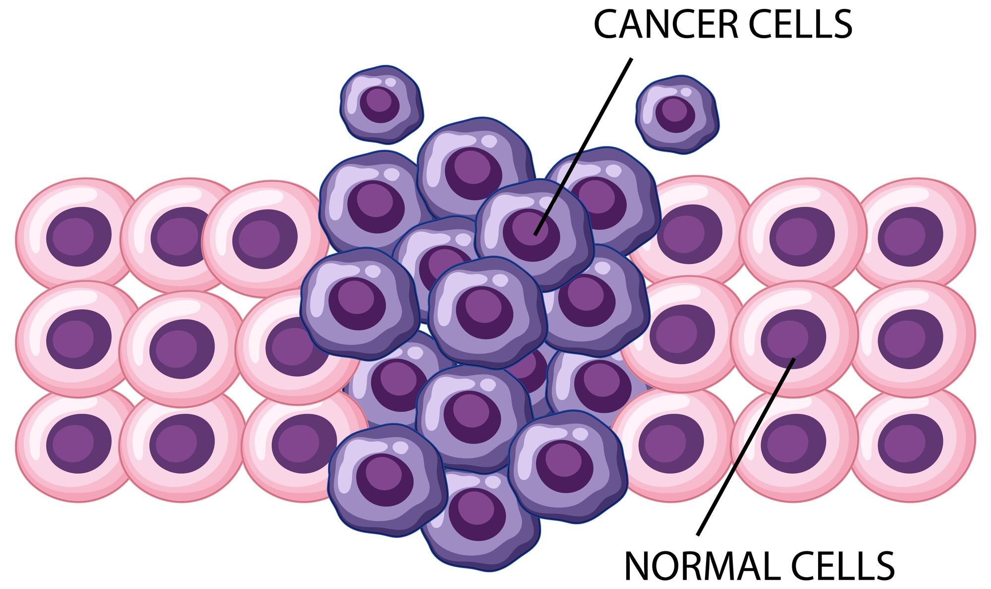 process cancer cell development 1308 98254