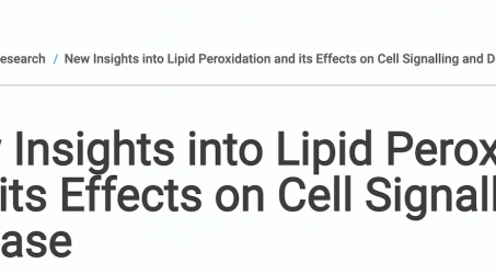 Our paper on domain formation in peroxidized lipid membranes is in the news!