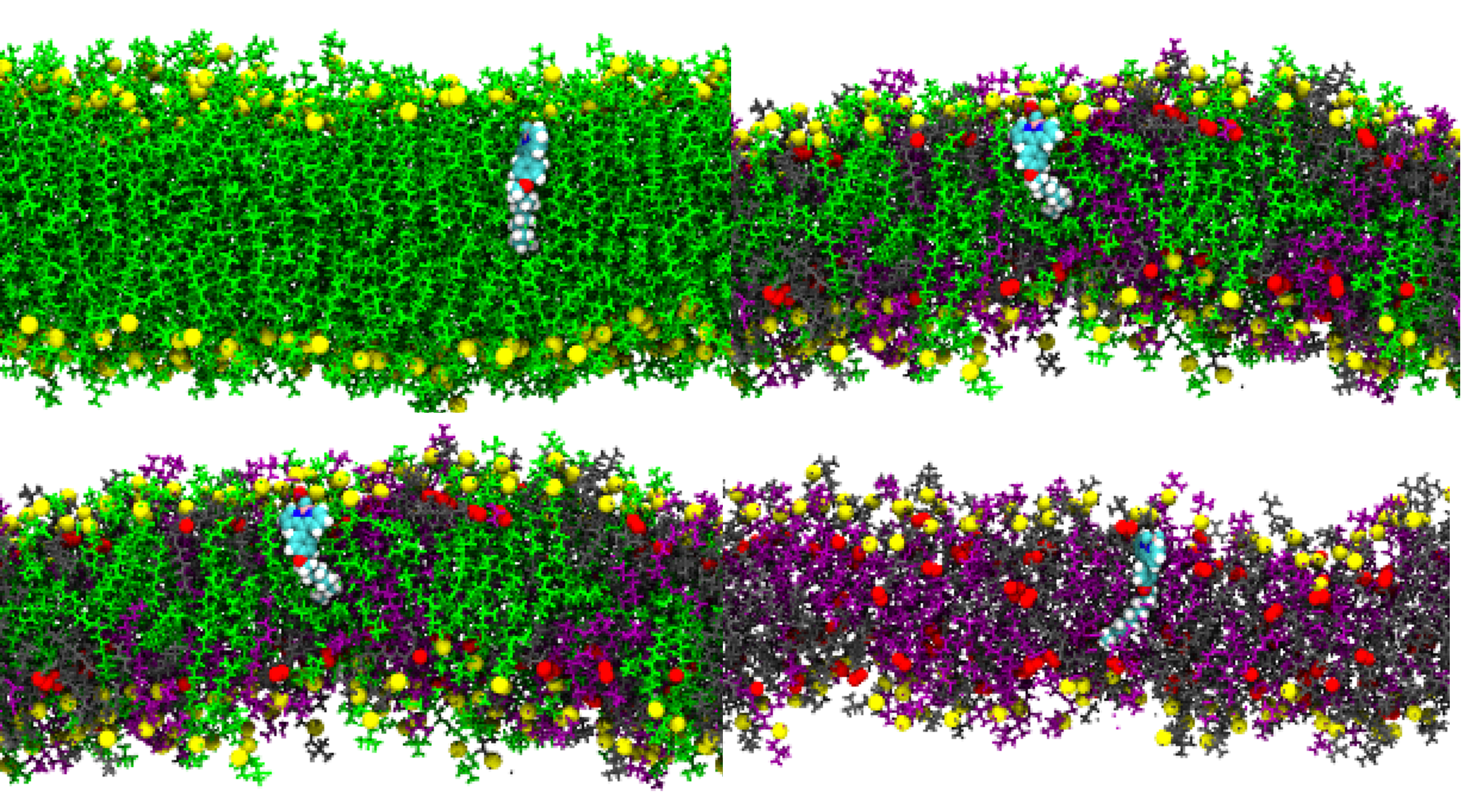 Directly imaging emergence of phase separation in peroxidized lipid membranes